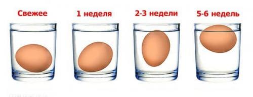 Сколько можно хранить перепелиные яйца. Сколько дней можно хранить яйца