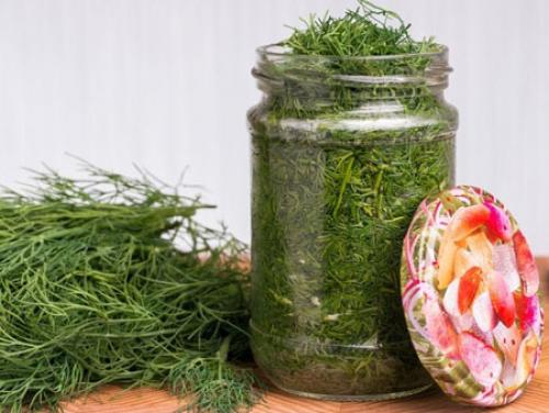 Как подольше сохранить зелень в холодильнике свежей. В чем хранить?