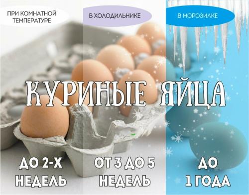 Сколько хранятся в холодильнике вареные перепелиные яйца. Сроки хранения яиц по ГОСТ