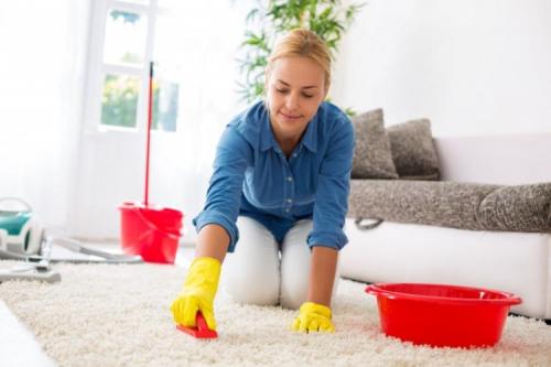 Чем почистить ковёр в домашних условиях от грязи и запаха. Как почистить ковер в домашних условиях?