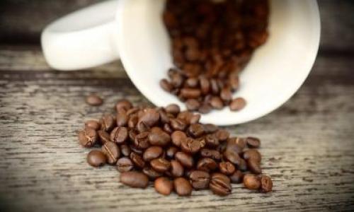 Как убрать запах гари в квартире народные средства. Применение подручных средств