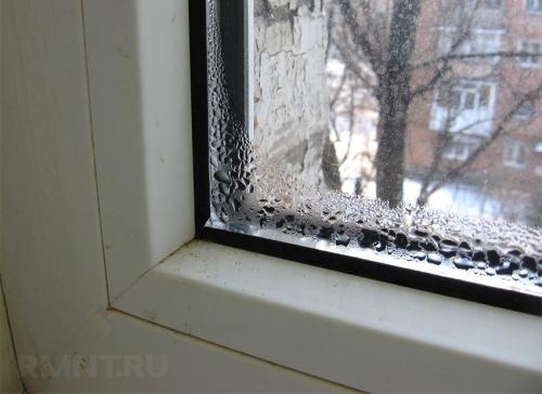 Как избавиться от грибка в погребе. Как избавиться от плесени в погребе 03