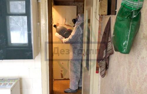 Обработка дома от насекомых. Причины появления насекомых в квартире 05 Обработка дома от насекомых. Причины появления насекомых в квартире 05