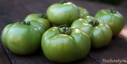 Как хранить огурцы до закрутки. Где и как хранить свежие огурцы 05 Как хранить огурцы до закрутки. Где и как хранить свежие огурцы 05