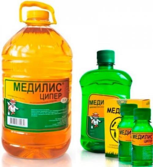 Медилис Ципер, как разводить от тараканов. Медилис Ципер: дом, свободный от тараканов!
