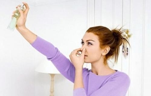 Как избавиться от гари и запаха гари. Как избавиться от запаха гари в квартире быстро: 6 натуральных средств 01