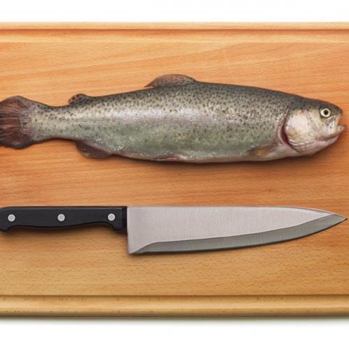 Как убрать запах рыбы с рук. Рыбный запах на руках: как убрать?