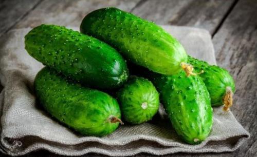 Как сохранить свежие огурцы без холодильника. Хранение огурцов в холодильнике 06 Как сохранить свежие огурцы без холодильника. Хранение огурцов в холодильнике 06