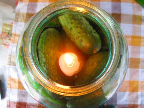 Как сохранить свежие огурцы без холодильника. Хранение огурцов в холодильнике 09