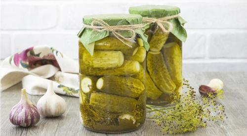 Как сохранить свежие огурцы без холодильника. Хранение огурцов в холодильнике 15