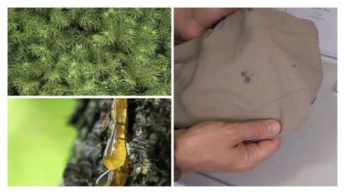 Как отстирать смолу от сосны с куртки. Подготовка к стирке одежды