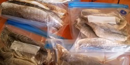 Как хранить вяленого леща в холодильнике. Как хранить вяленую рыбу