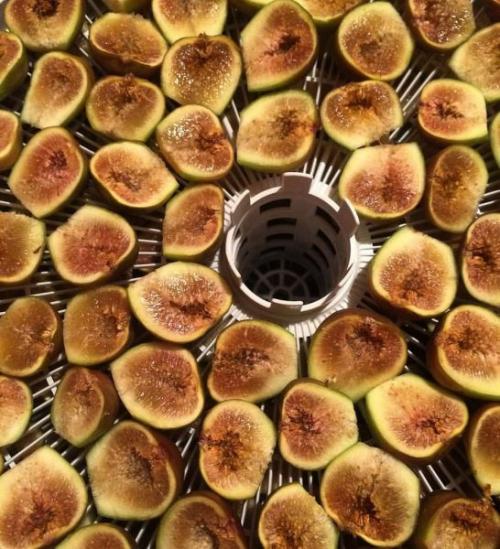 Как хранить сушеный инжир. Как сушить инжир
