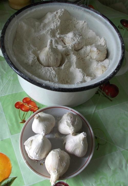 В чем хранить крупы, чтобы не заводились жучки. Как бабушка учила: 5 идей, как хранить крупы и специи, чтобы в них не заводились насекомые 21 В чем хранить крупы, чтобы не заводились жучки. Как бабушка учила: 5 идей, как хранить крупы и специи, чтобы в них не заводились насекомые 21