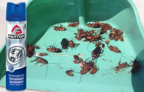 Раптор от насекомых инструкция. Средство Раптор от клопов 04