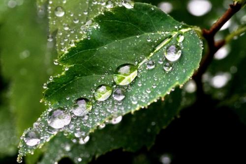 Оптимальная влажность воздуха в квартире в отопительный сезон. Как измерить влажность в квартире? 01