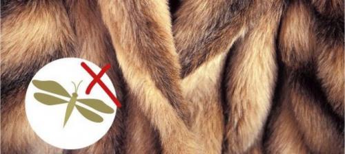 Лучшее средство от моли для шуб. Профилактика и правильное хранение