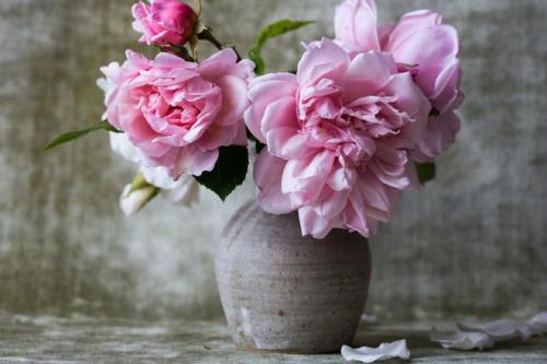 Что категорически нельзя держать дома. Что нельзя хранить дома и почему — приметы