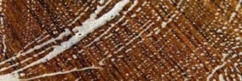 Чем помыть ламинат без разводов в домашних условиях. Особенности пола из ламината 02