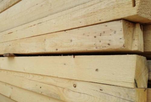 Какие меры предосторожности можно принять, чтобы предотвратить появление жуков-кругляков в доме. Чем опасен короед