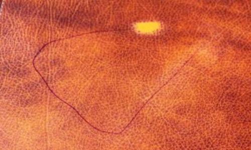 Как отмыть пасту от ручки с мебели. Способы устранения следов