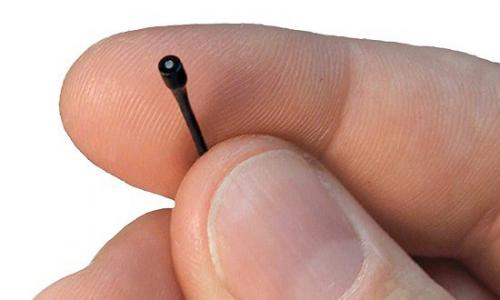 Что такое жучки и как они выглядят. Как найти жучок прослушки в квартире самостоятельно