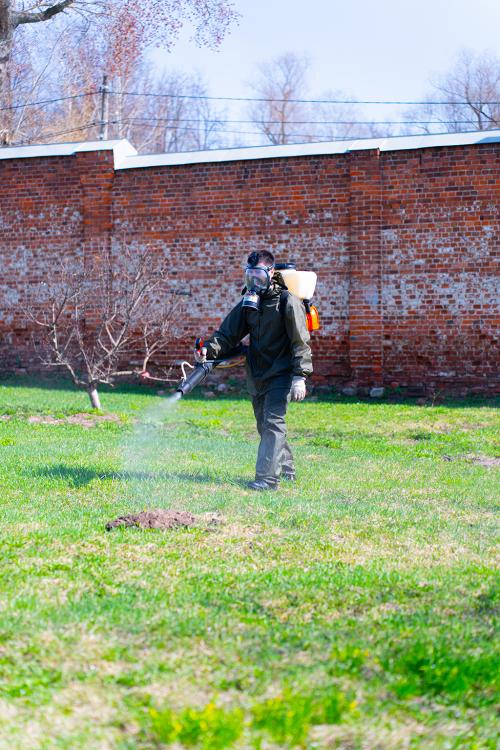 Эффективные способы борьбы с клещами на вашем участке 11 Эффективные способы борьбы с клещами на вашем участке 11