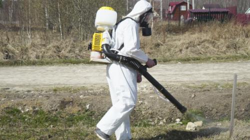 Эффективные способы борьбы с клещами на вашем участке 13 Эффективные способы борьбы с клещами на вашем участке 13