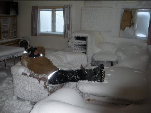 Как обнаружить наличие клещей в квартире или доме. Как избавиться от бельевых клещей