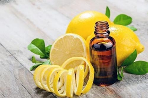 Комнатный клещ на мягкой мебели: как избавиться и предотвратить появление 05 Комнатный клещ на мягкой мебели: как избавиться и предотвратить появление 05