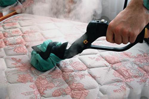 Комнатный клещ на мягкой мебели: как избавиться и предотвратить появление 04 Комнатный клещ на мягкой мебели: как избавиться и предотвратить появление 04