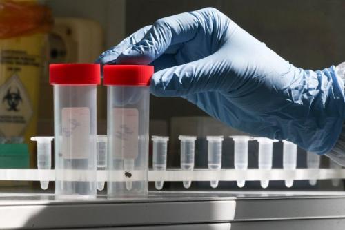 Какие профилактические меры помогут избежать появления клещей в доме. Можно ли себя спасти?