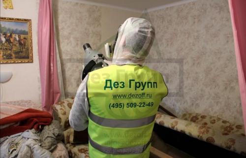 Полное руководство: как эффективно избавиться от клещей в волосах 10