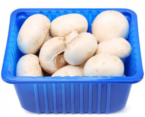 Как понять, что шампиньоны испорчены. Как понять, что шампиньоны испортились: главные признаки