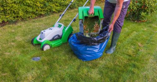 Какая обработка растений помогает от клещей, и как ее правильно проводить. Правила проведения