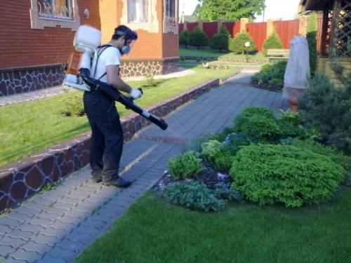 Эффективные способы уничтожения клещей на дачном участке: практические советы 01 Эффективные способы уничтожения клещей на дачном участке: практические советы 01