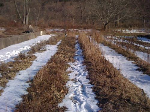 Эффективные способы избавиться от клещей в вашем дворе 03 Эффективные способы избавиться от клещей в вашем дворе 03