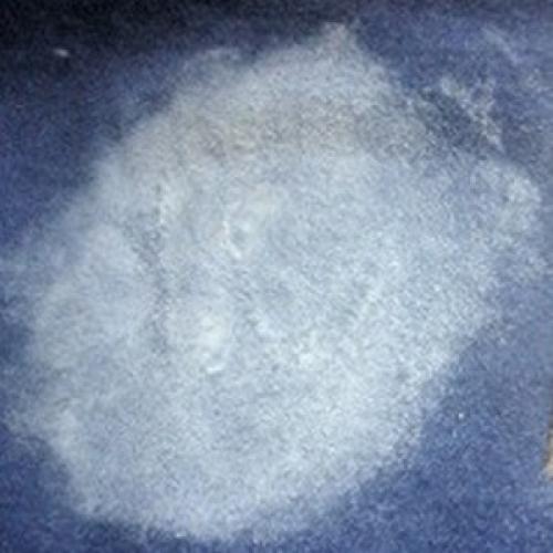 Как удалить кокосовое масло с одежды. Как вывести масляное пятно с одежды народными средствами