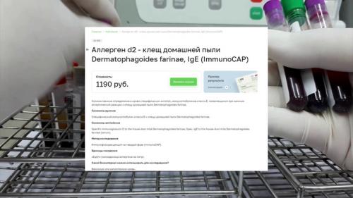 Как определить, есть ли пылевые клещи в вашем доме. Маленькие монстры, что живут в каждой квартире. Всё, что нужно знать о пылевых клещах