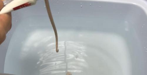 Запах в шкафу с одеждой. Знают все хозяйки: как навсегда избавиться от неприятного запаха в шкафу 05