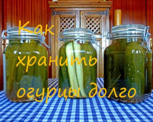 Как сохранить свежие огурцы без холодильника. Как хранить огурцы долго