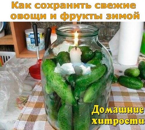 Как сохранить свежие огурцы без холодильника. Как хранить огурцы долго
