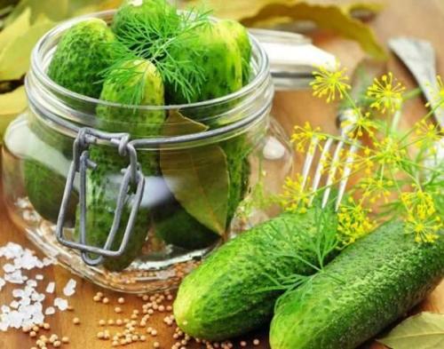 Как сохранить свежие огурцы на зиму. Как сохранить огурцы свежими до Нового года