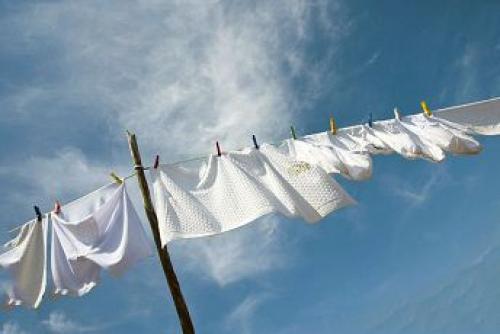 Как избавиться от блох и клещей в доме: 4 проверенных метода 02 Как избавиться от блох и клещей в доме: 4 проверенных метода 02