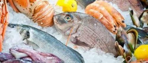 Каковы Сроки хранения сушеной рыбы. Все способы хранения вяленой рыбы в домашних условиях