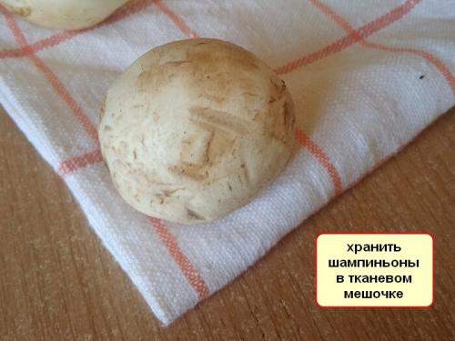 Сколько можно хранить шампиньоны в холодильнике. Сколько хранятся в холодильнике свежие шампиньоны — всё зависит от упаковки