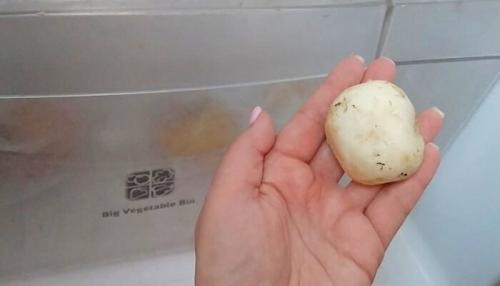 Сколько можно хранить шампиньоны в холодильнике. Сколько хранятся в холодильнике свежие шампиньоны — всё зависит от упаковки