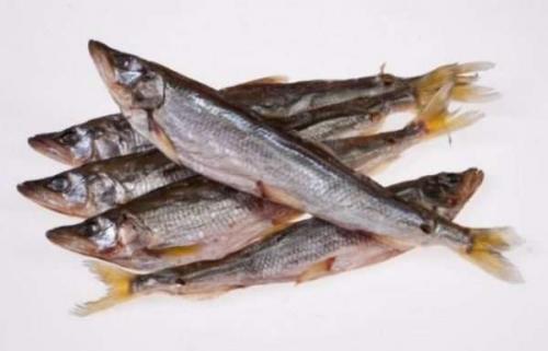 Каковы Сроки хранения сушеной рыбы. Все способы хранения вяленой рыбы в домашних условиях