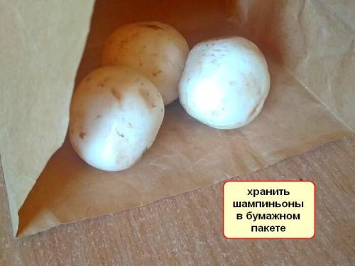 Сколько можно хранить шампиньоны в холодильнике. Сколько хранятся в холодильнике свежие шампиньоны — всё зависит от упаковки