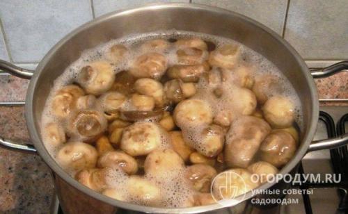 Как хранить шампиньоны на зиму. С предварительной термической обработкой